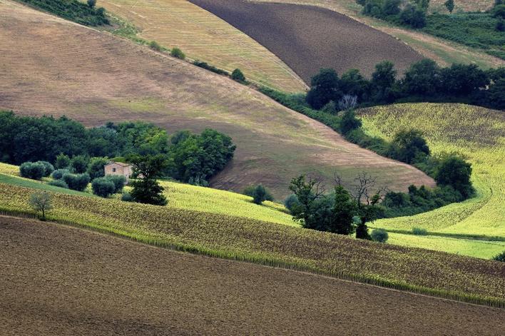 Agriturismo Il Gelso Antico Affittacamere Recanati Esterno foto