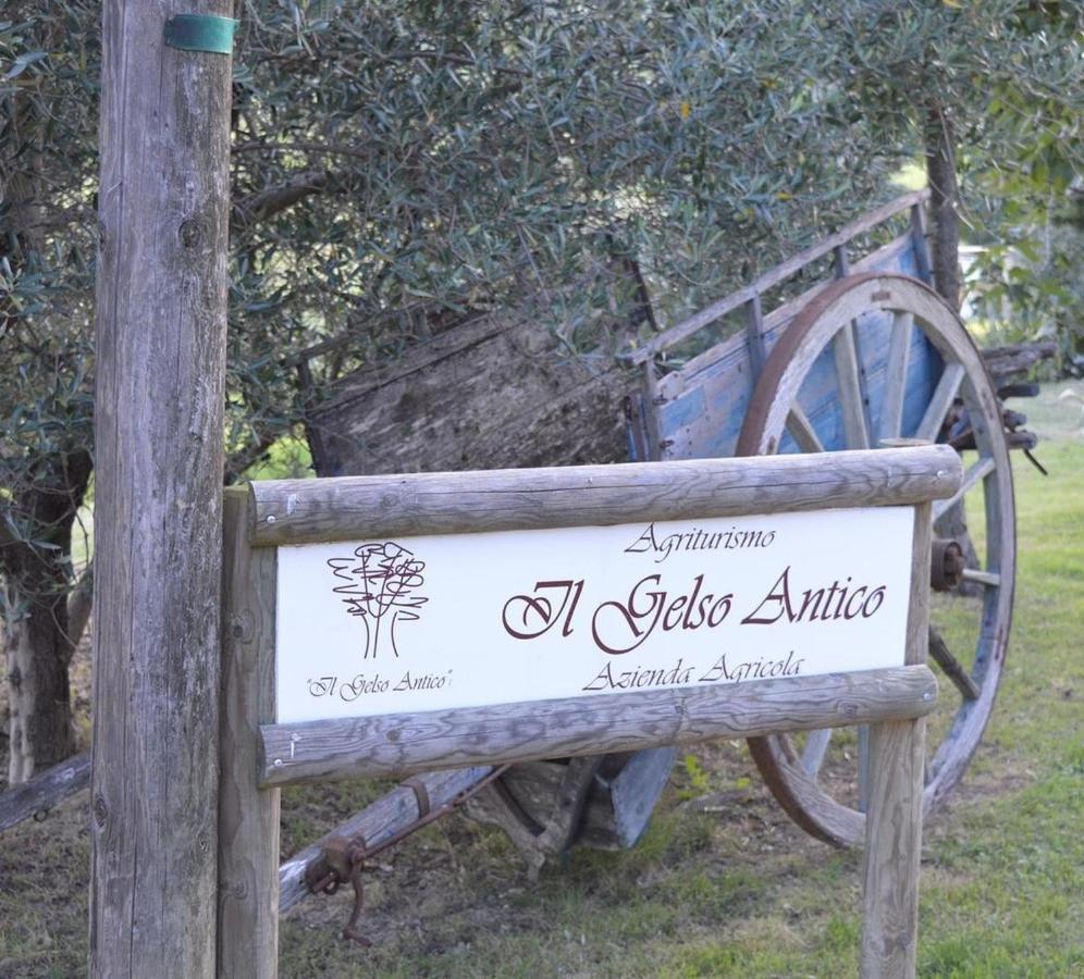 Agriturismo Il Gelso Antico Affittacamere Recanati Esterno foto