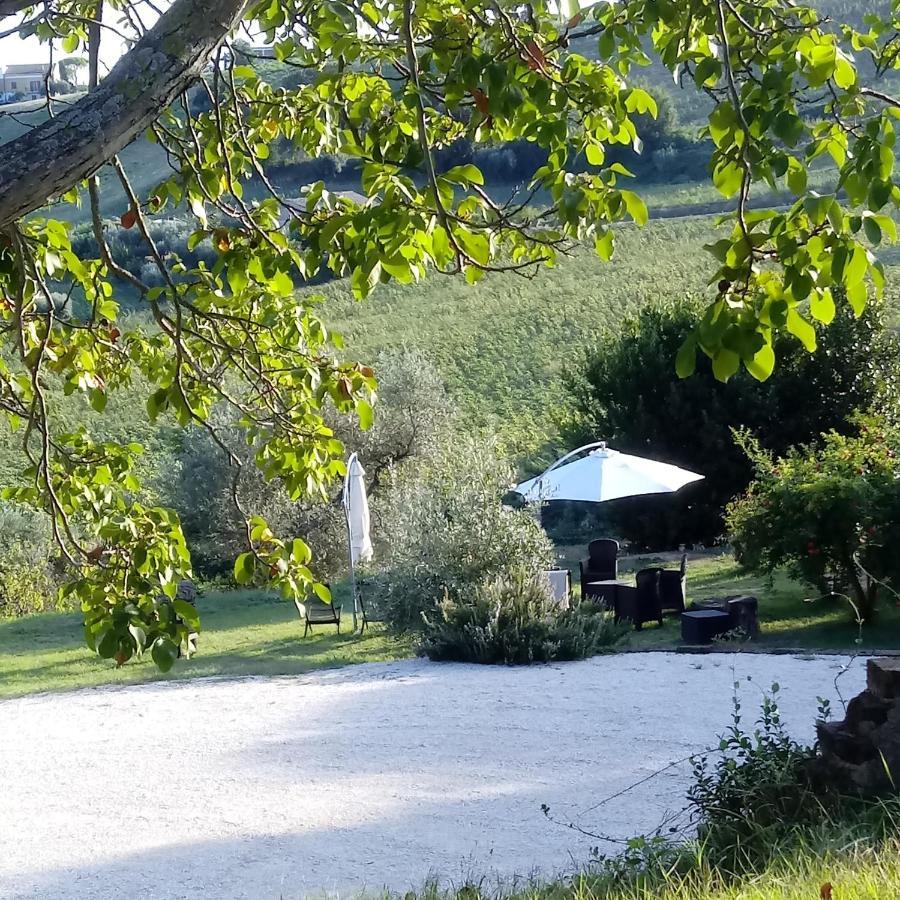 Agriturismo Il Gelso Antico Affittacamere Recanati Esterno foto