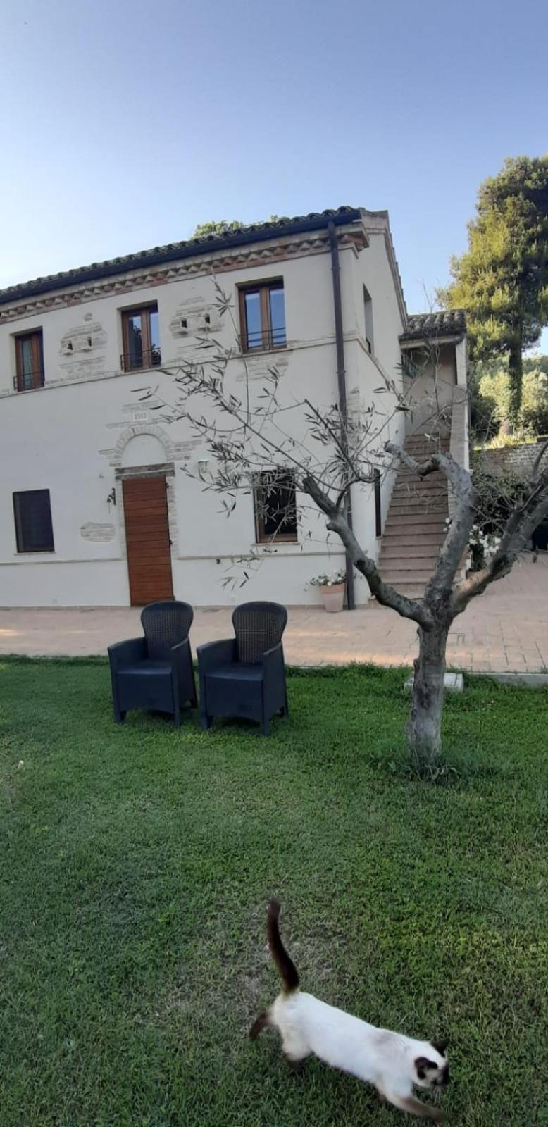 Agriturismo Il Gelso Antico Affittacamere Recanati Esterno foto